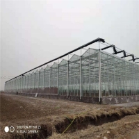 农业大棚玻璃温室玻璃大棚建设工程