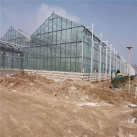 农业大棚智能温室建设智能玻璃温室大棚工程