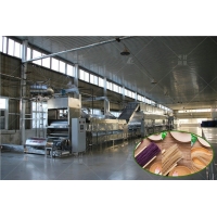 大型粉条加工设备开封丽星 自动控温粉丝生产线平稳运行