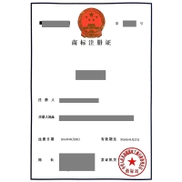 山东省枣庄市商标注册证怎么查询